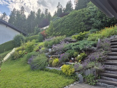 Apartment Ferienwohnung Sonnenschein - Outdoor photo 20