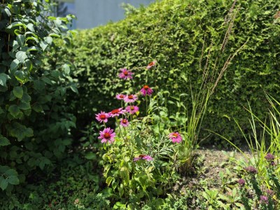 Apartment Ferienwohnung Sonnenschein - Outdoor photo 21