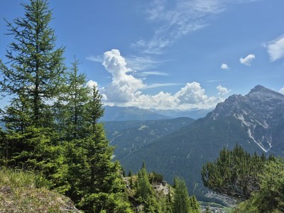 Apartment Ferienwohnung Sonnenschein - Outdoor photo 23