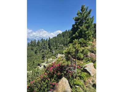 Apartment Ferienwohnung Sonnenschein - Outdoor photo 27