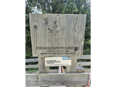 Apartment Ferienwohnung Sonnenschein - Outdoor photo 29