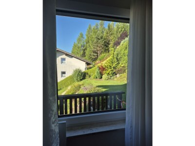 Apartment Ferienwohnung Sonnenschein - Features photo 70