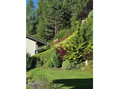 Apartment Ferienwohnung Sonnenschein - Features photo 71