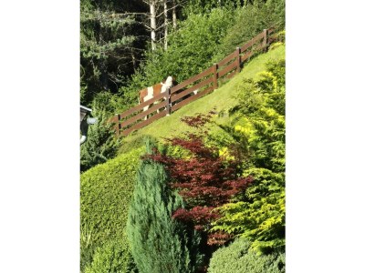 Apartment Ferienwohnung Sonnenschein - Features photo 72