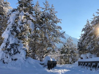 Apartment Elfer - Outdoor photo 9