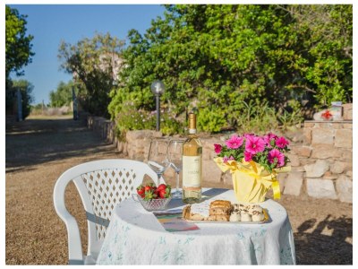 Apartment Casa Li Feruli - Environment photo 26