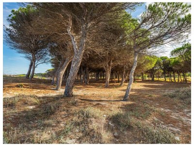 Apartment Casa Pompia 3 in Iscra E Voes - Apartment