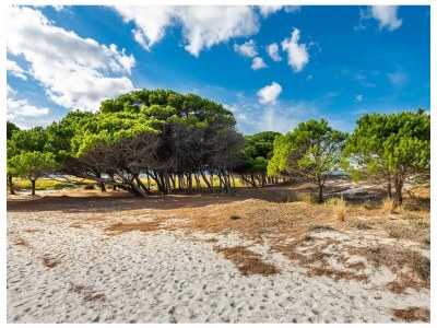 Apartment Casa Pompia 4 - Environment photo 27