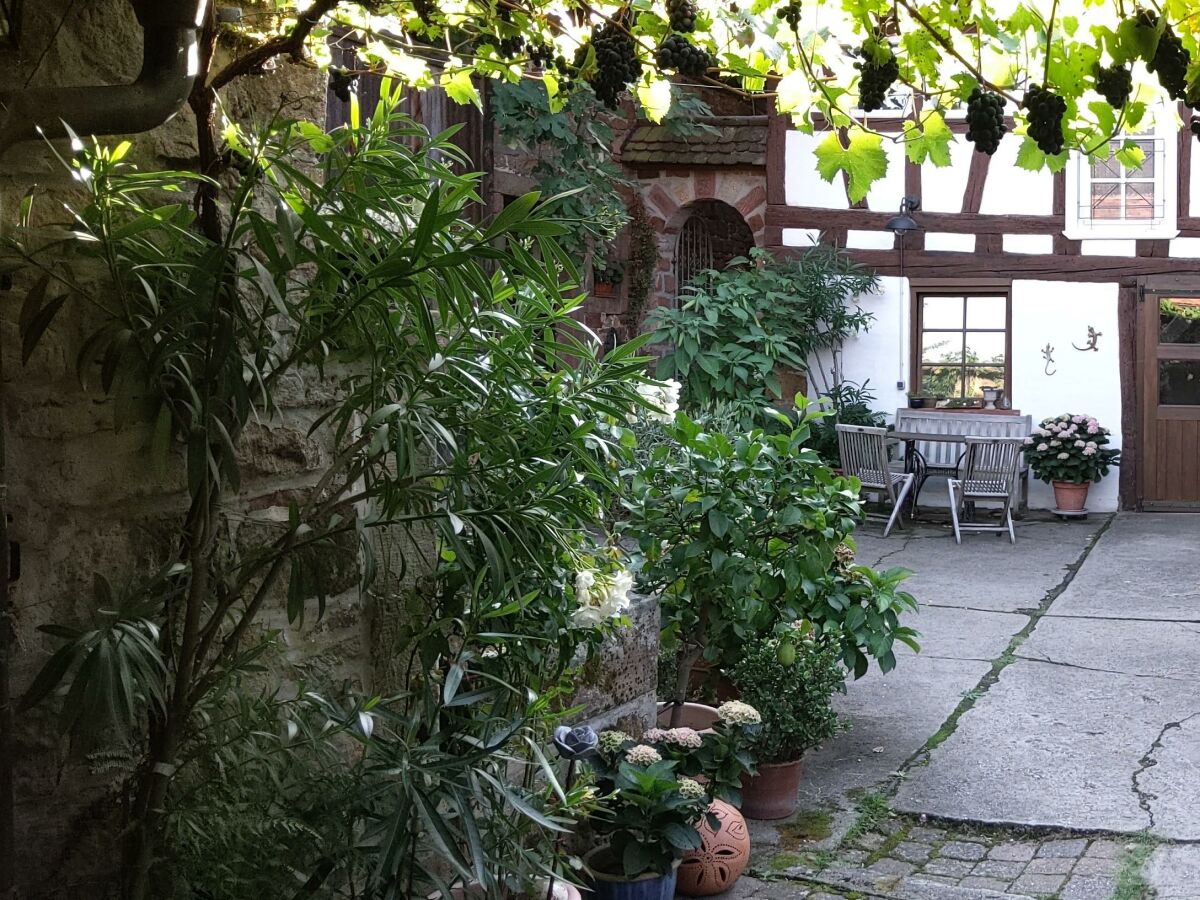 Apartment Appartement/Fewo, Dusche, WC, Nichtraucher