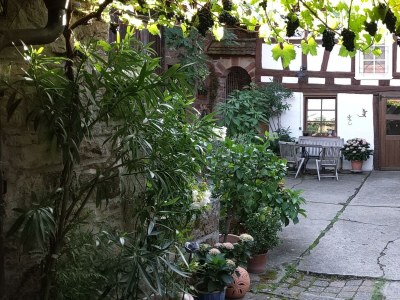 Apartment Appartement/Fewo, Dusche, WC, Nichtraucher in Dörrenbach - Apartment