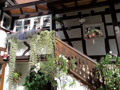 Apartment Appartement/Fewo, Dusche, WC, Nichtraucher - Outdoor photo 3