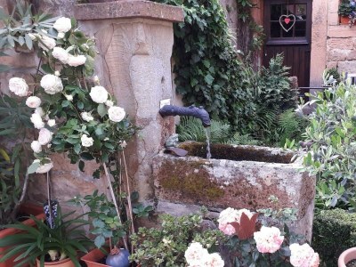 Apartment Appartement/Fewo, Dusche, WC, Nichtraucher - Outdoor photo 8