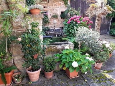 Apartment Appartement/Fewo, Dusche, WC, Nichtraucher - Outdoor photo 9