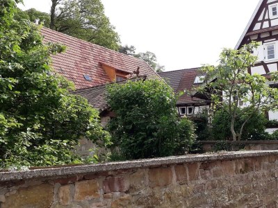 Apartment Appartement/Fewo, Dusche, WC, Nichtraucher - Outdoor photo 10