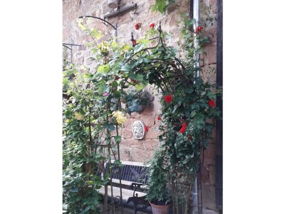 Apartment Appartement/Fewo, Dusche, WC, Nichtraucher - Outdoor photo 12