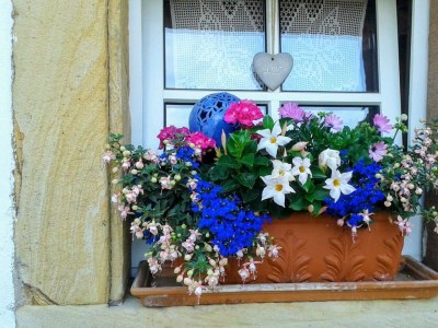 Apartment Appartement/Fewo, Dusche, WC, Nichtraucher - Outdoor photo 13