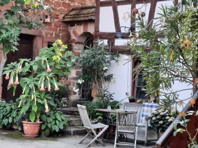 Apartment Appartement/Fewo, Dusche, WC, Nichtraucher - Outdoor photo 14