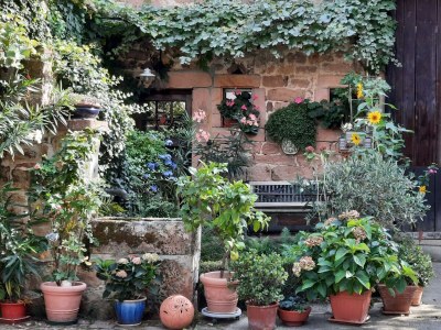 Apartment Appartement/Fewo, Dusche, WC, Nichtraucher - Outdoor photo 15