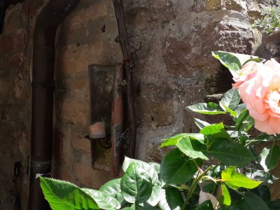 Apartment Appartement/Fewo, Dusche, WC, Nichtraucher - Outdoor photo 20