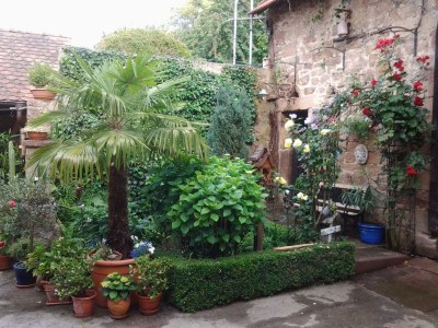 Apartment Appartement/Fewo, Dusche, WC, Nichtraucher - Outdoor photo 25