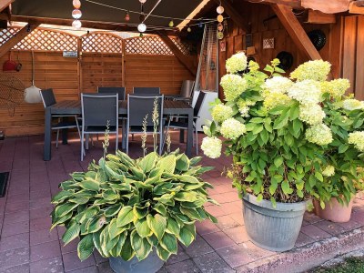 Apartment Ferienwohnung 3 - Outdoor photo 4