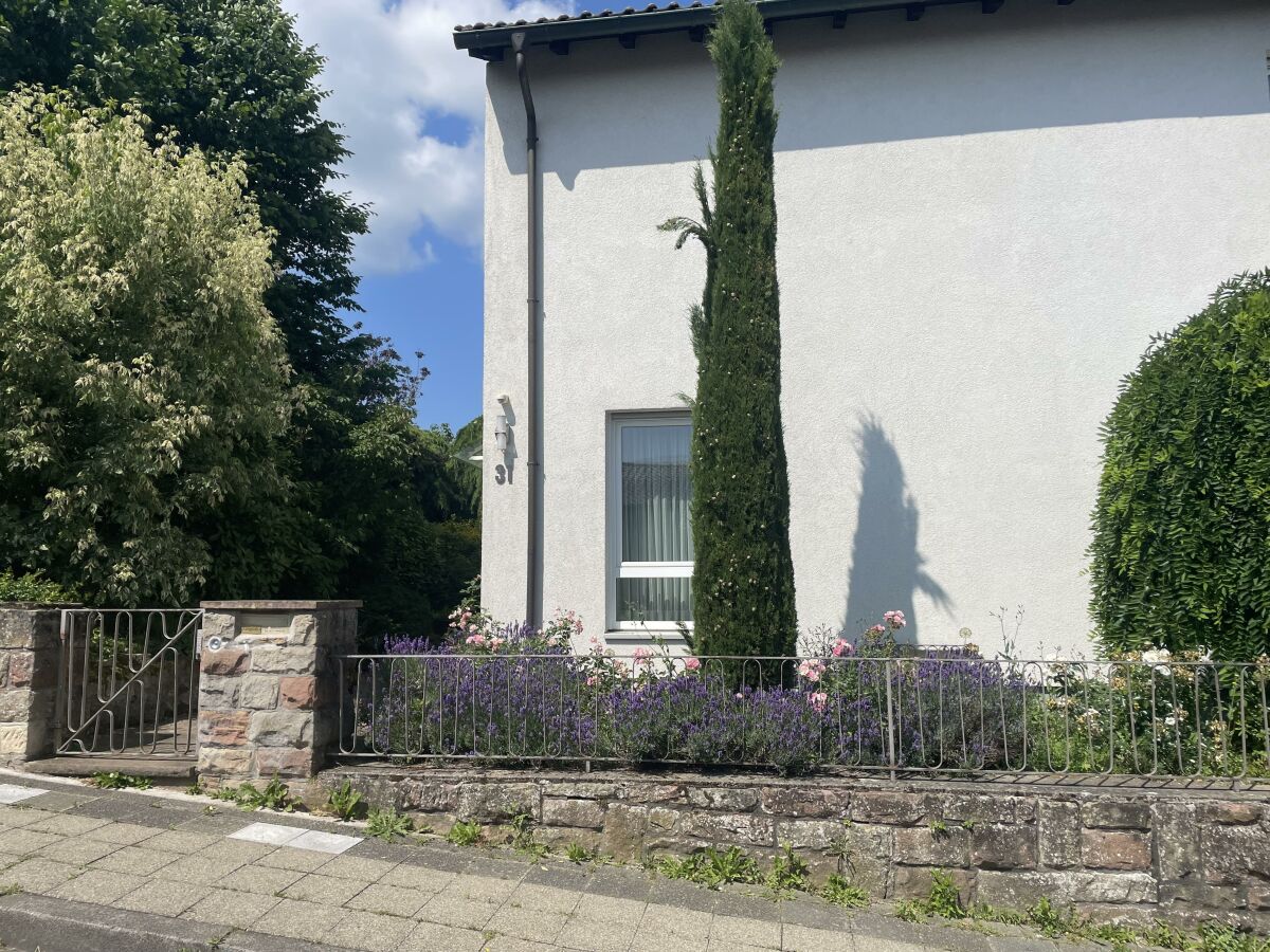 Apartment Ferienhaus ZU HAUSE Pfalz - Outdoor photo 3