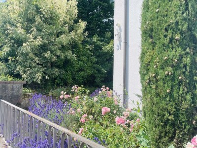 Apartment Ferienhaus ZU HAUSE Pfalz - Outdoor photo 2