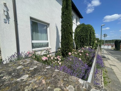 Apartment Ferienhaus ZU HAUSE Pfalz - Outdoor photo 4