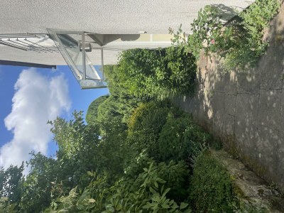 Apartment Ferienhaus ZU HAUSE Pfalz - Outdoor photo 5