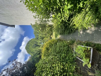 Apartment Ferienhaus ZU HAUSE Pfalz - Outdoor photo 6