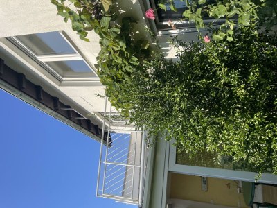 Apartment Ferienhaus ZU HAUSE Pfalz - Outdoor photo 7