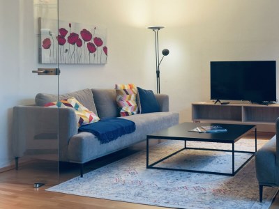 Apartment Ferienhaus ZU HAUSE Pfalz - Features photo 26