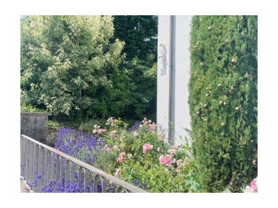 Apartment Ferienhaus ZU HAUSE Pfalz - Features photo 47