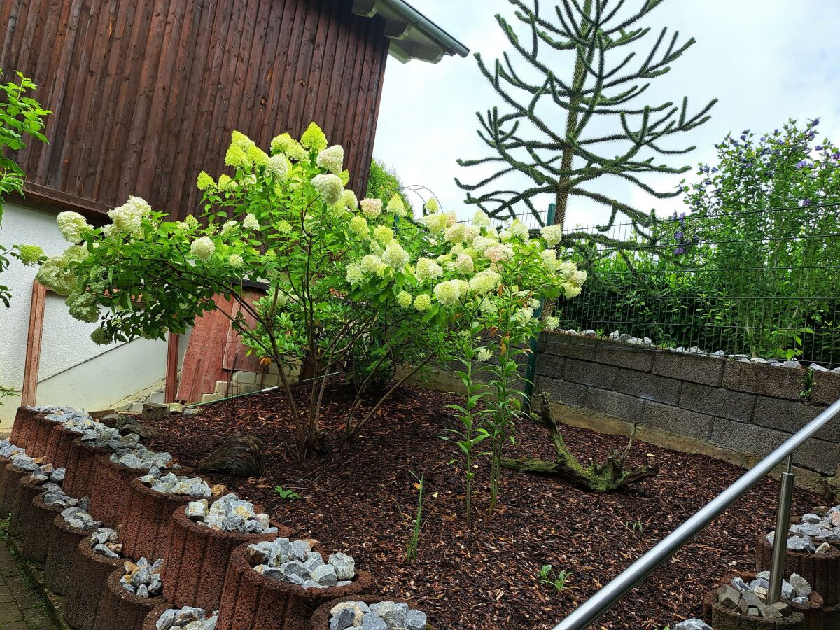 Apartment 2-Bettwohnung mit Badewanne - Outdoor photo 4