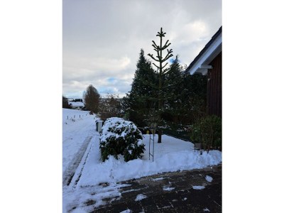 Apartment 2-Bettwohnung mit Badewanne - Outdoor photo 11