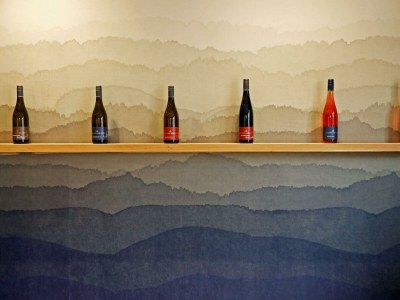 Apartment Ferienwohnung 1a in Neustadt-Hambach - Apartment