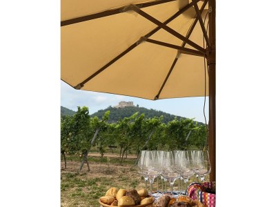 Apartment Ferienwohnung 1a - Outdoor photo 6