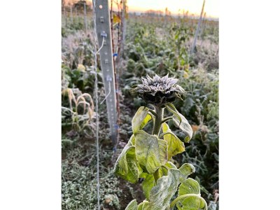 Apartment Ferienwohnung 1a - Outdoor photo 8