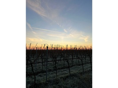 Apartment Ferienwohnung 1a - Outdoor photo 10