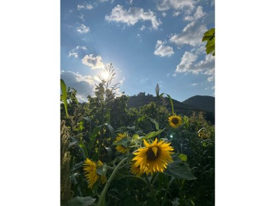 Apartment Ferienwohnung 1a - Outdoor photo 11