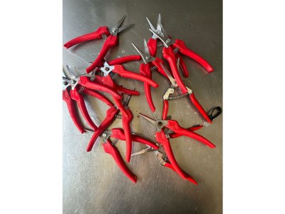 Apartment Ferienwohnung 1a - Outdoor photo 12