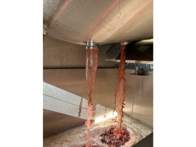 Apartment Ferienwohnung 1a - Outdoor photo 15