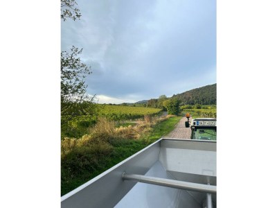 Apartment Ferienwohnung 1a - Outdoor photo 16