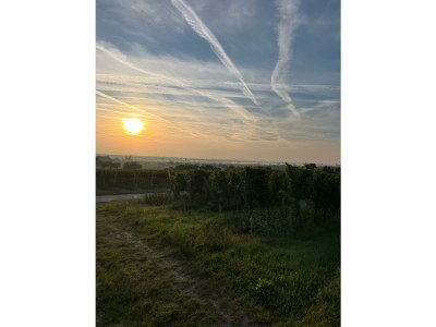 Apartment Ferienwohnung 1a - Outdoor photo 17