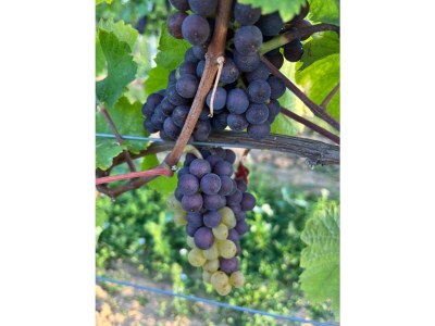 Apartment Ferienwohnung 1a - Outdoor photo 18