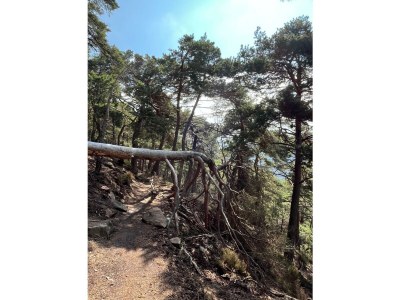 Apartment Ferienwohnung 1a - Outdoor photo 19