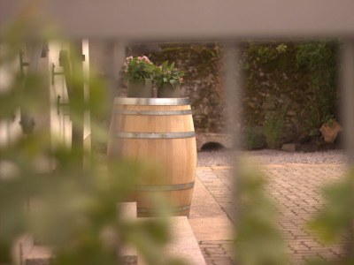 Apartment Ferienwohnung 1a - Features photo 25