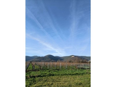 Holiday room Einzelzimmer 1 - Outdoor photo 8