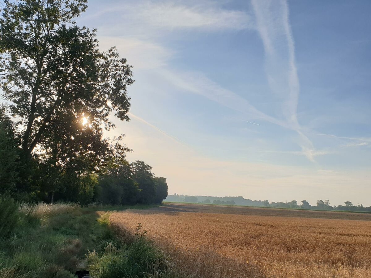Apartment Ferienwohnung am Storchennest - Outdoor photo 3