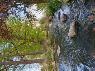 Apartment Ferienwohnung am Storchennest - Outdoor photo 6